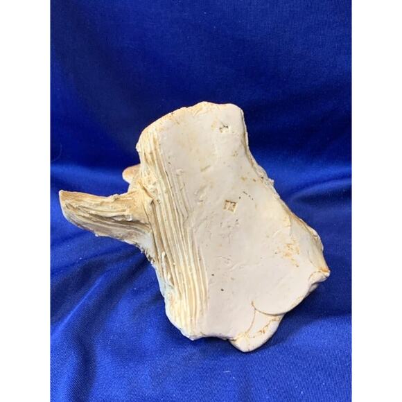 Unique Handmade Clay Pottery Koala Sitting on Hallow Log - Picture 7 of 8